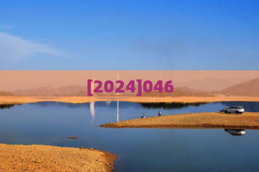 [2024]046