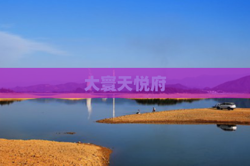 大寰天悦府