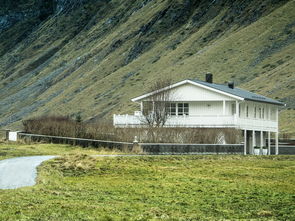 东郊房屋出租，探索理想居住空间，享受便捷生活