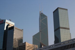 红桥租房网，租房市场的新风向标