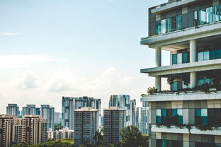丽水租房市场分析，机遇与挑战并存