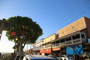 慈溪租房网，探索慈溪租房市场，找到您理想的家