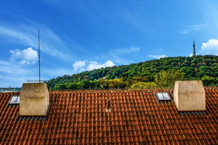 梅花村租房，探索城市绿洲中的温馨家园