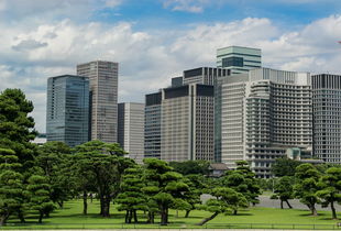 泰州租房市场全解析，2024年租房指南