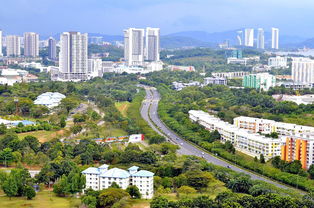 东苑二手房市场分析，投资与居住的双赢选择