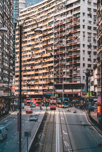 乐城半岛，城市绿洲中的奢华居住体验