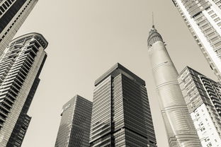 深度解析，上海房产交易税的奥秘与影响
